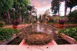 Water garden by Gary Smith, Nests for Lotusland