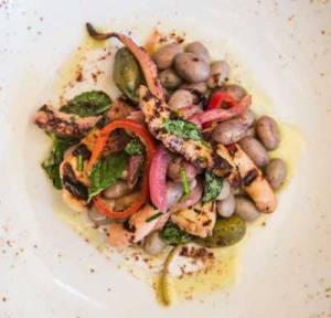 FIG_CharredOctupus_MatthewChristopherMiller